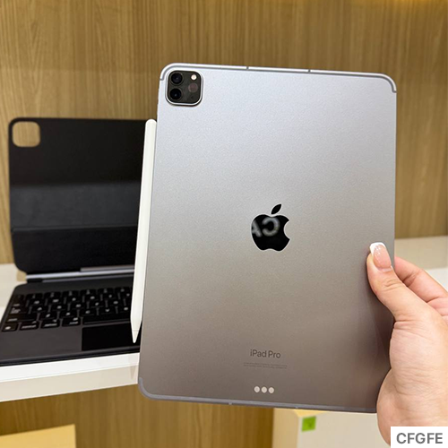 (Used) iPad Pro 11″ Cellular 2022 256GB Space Gray With Pen