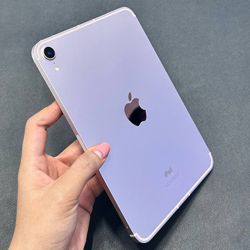 (Used) iPad Mini 6 Cellular 256GB Pink