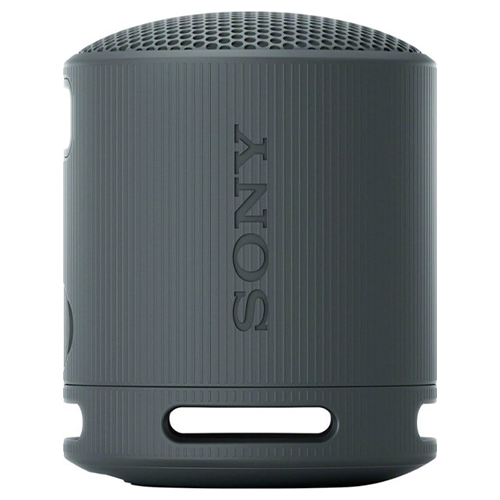 Sony XB100 Portable Wireless Speaker